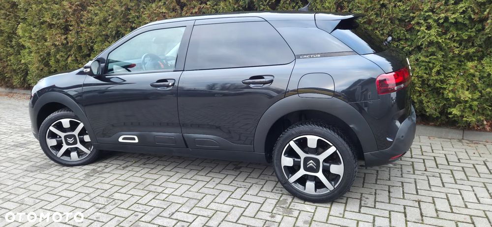 Citroën C4 Cactus PureTech 110 Stop&Start EAT6 Shine - 7