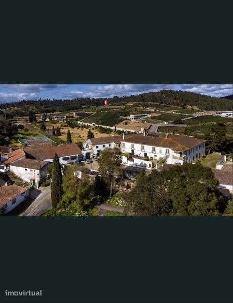 Lote de Terreno Quinta Santa Bárbara Constância - Grande imagem: 2/4