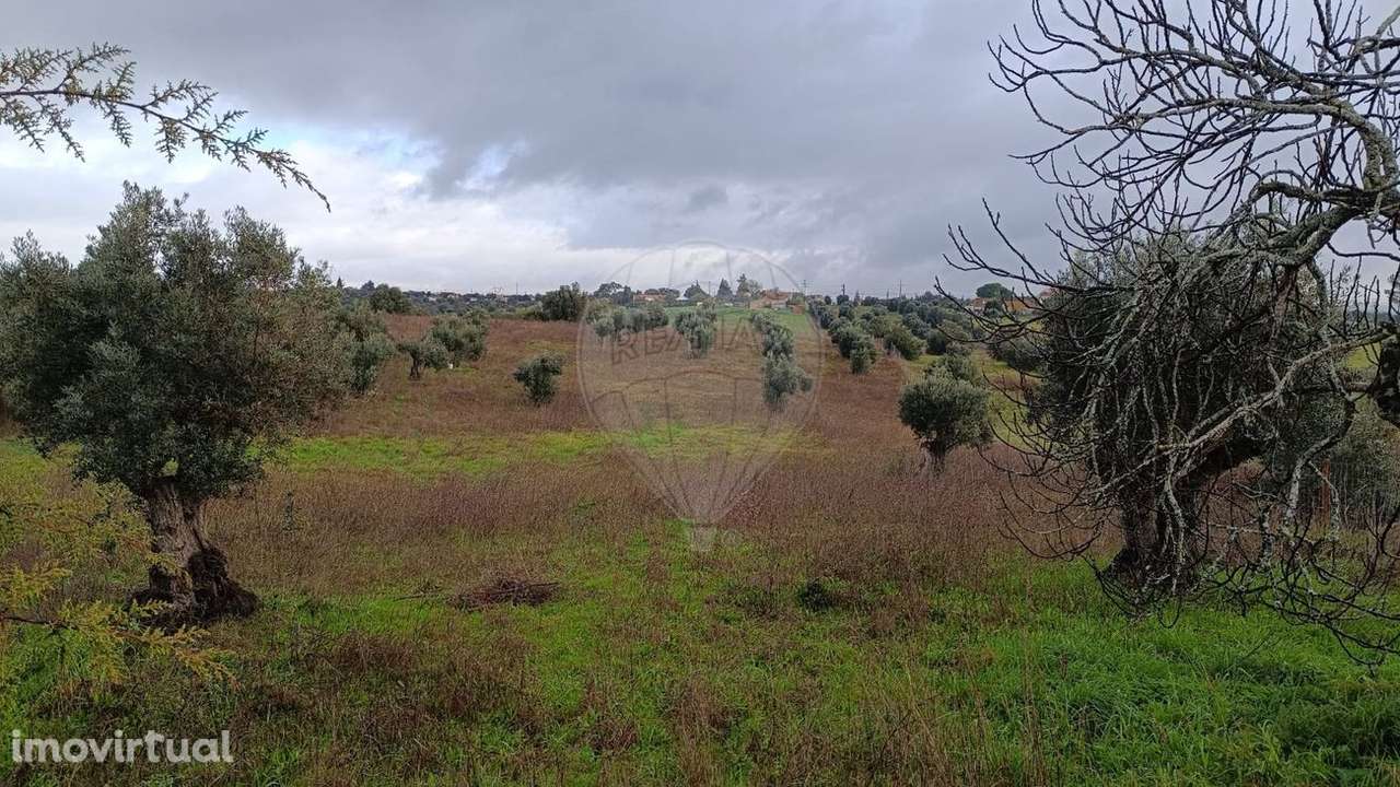 Terreno  para venda - Grande imagem: 3/4