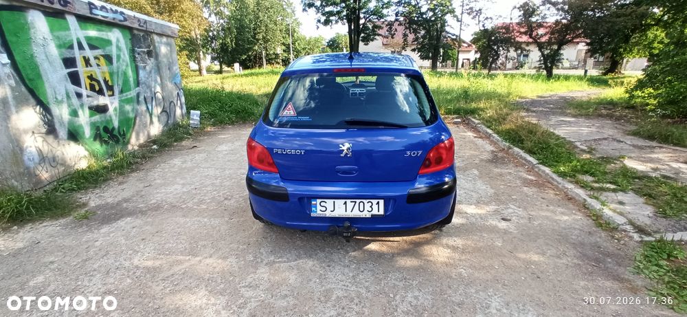 Peugeot 307 1.4 XR - 8