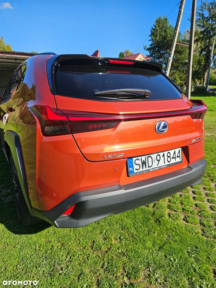 Lexus UX - 6