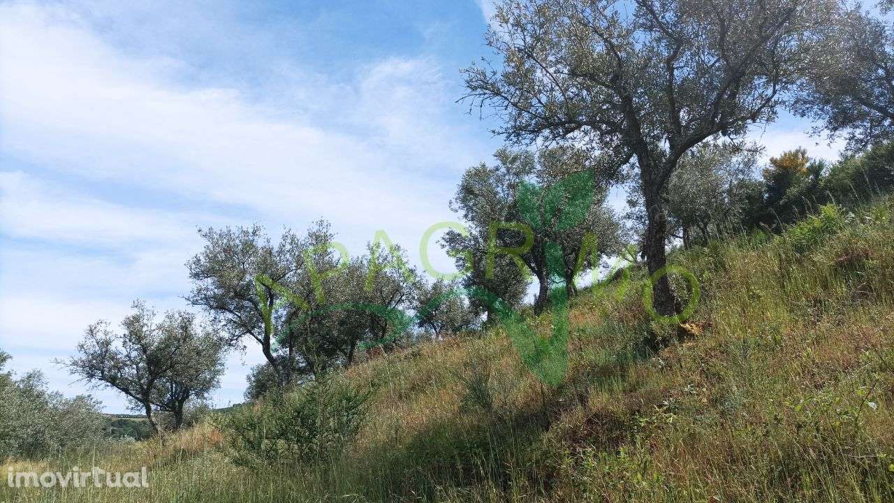 Terreno rústico "Parceria" no Souto, Penedono - Grande imagem: 5/16