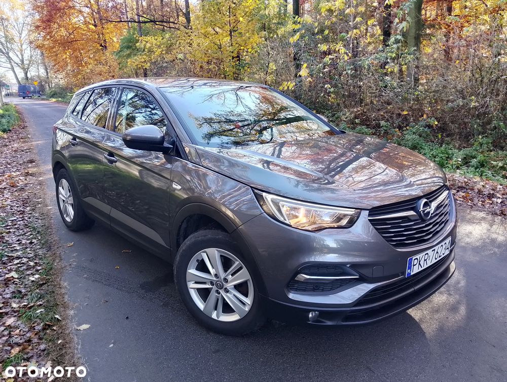Opel Grandland X - 14