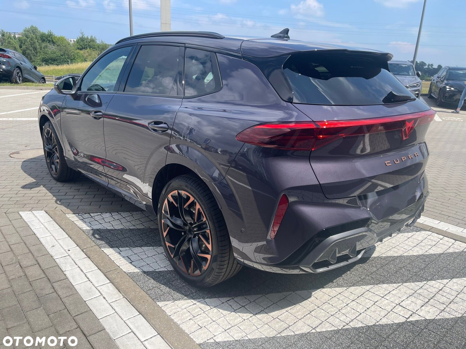 Cupra Terramar - 6