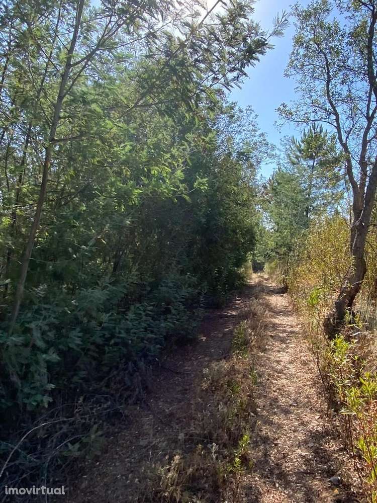 Terreno - Grande imagem: 3/9