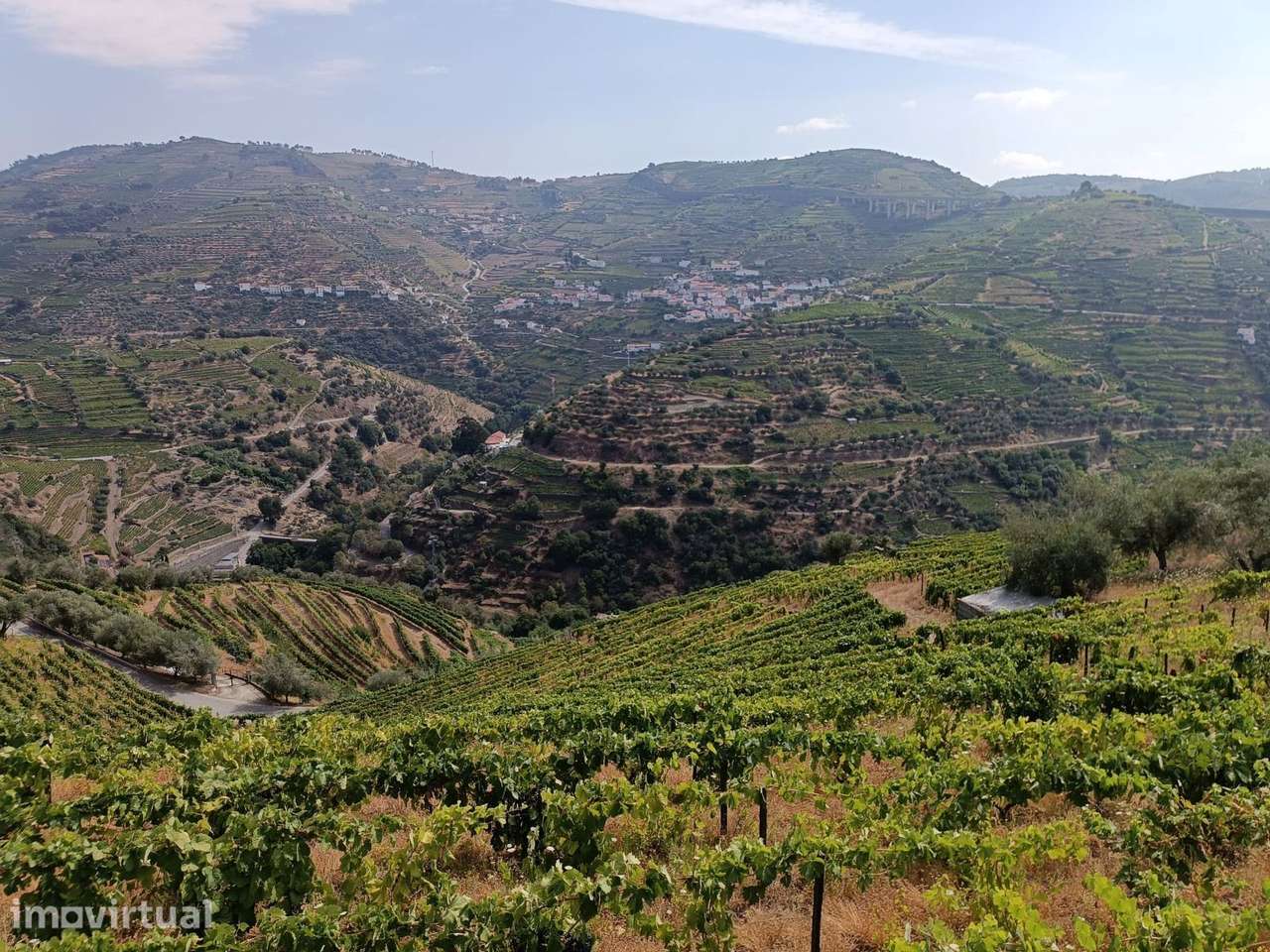 VINHA NA REGIÃO DEMARCADA DO DOURO - Grande imagem: 3/8