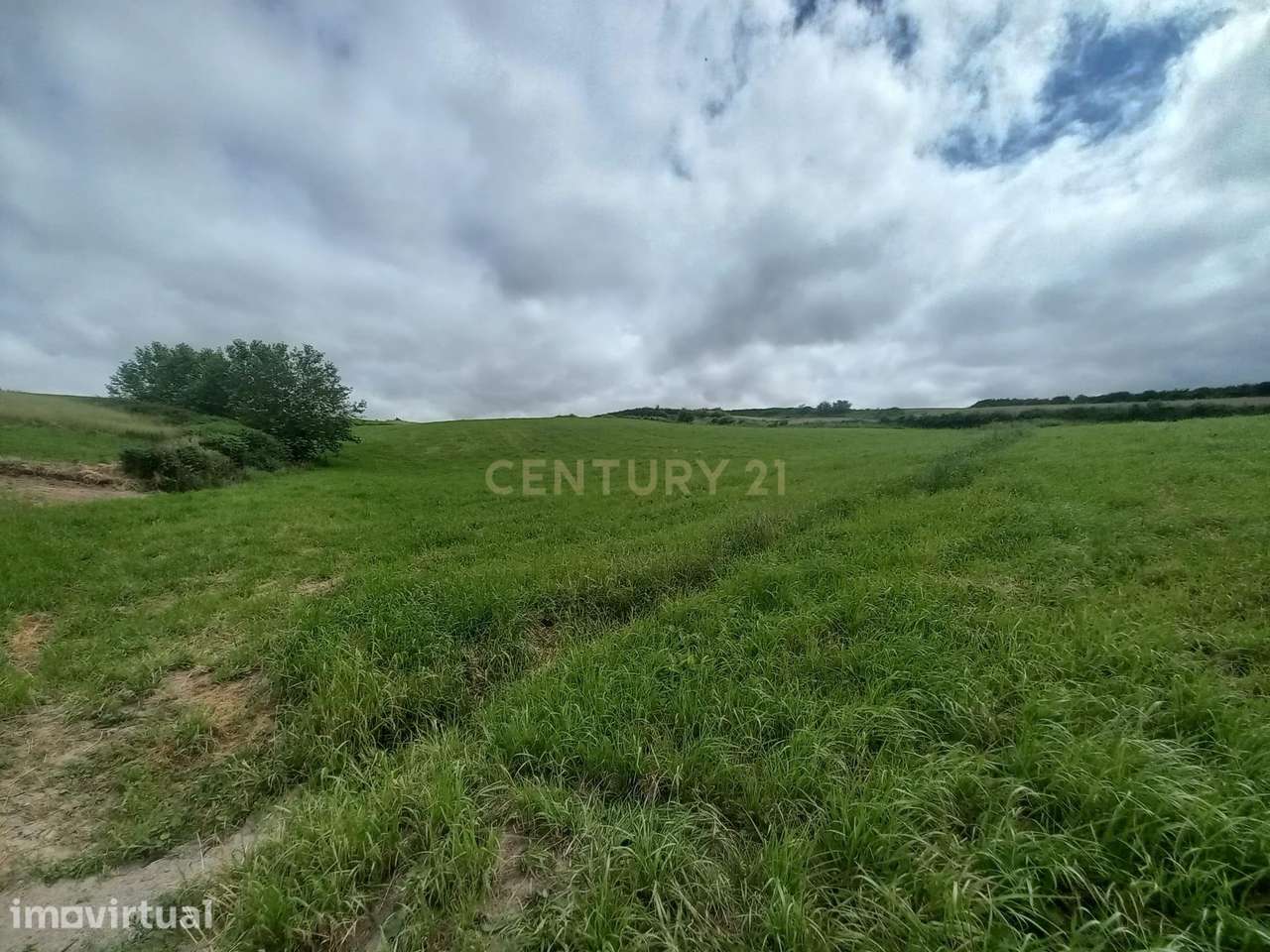 Terreno Agrícola em Ponta Garça, Vila Franca do Campo - Grande imagem: 3/3