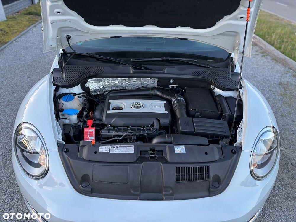 Volkswagen Beetle - 15