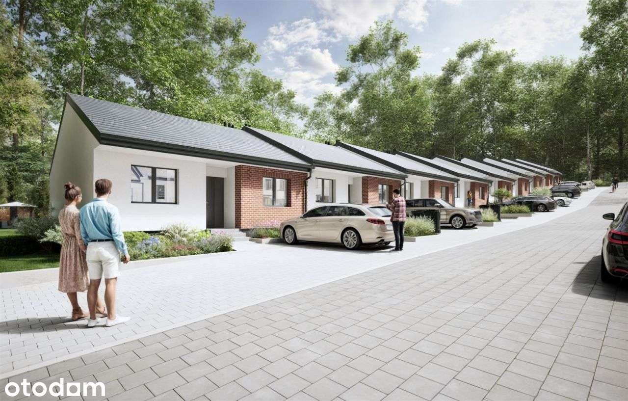 w w w zielonyzakatek.eu