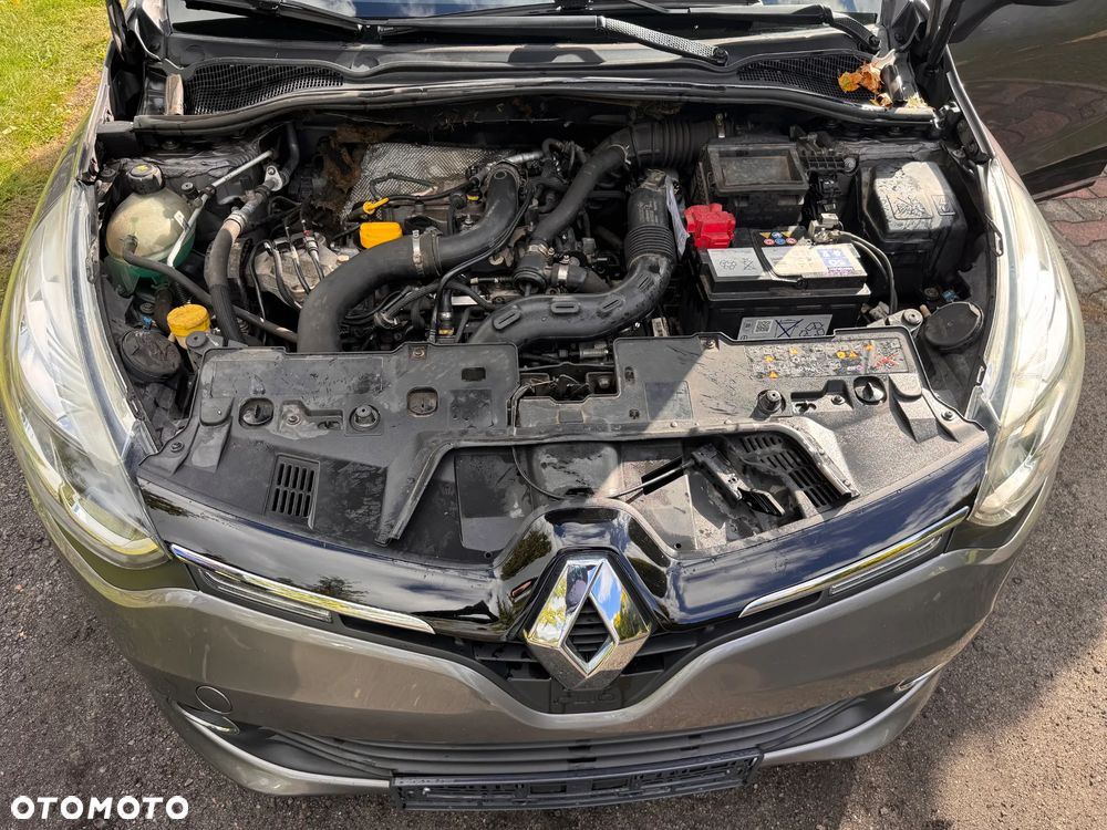 Renault Clio - 20