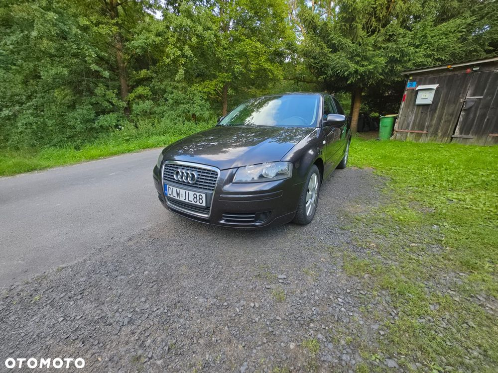 Audi A3 3-drzwiowe 1.9 TDI Ambiente - 11
