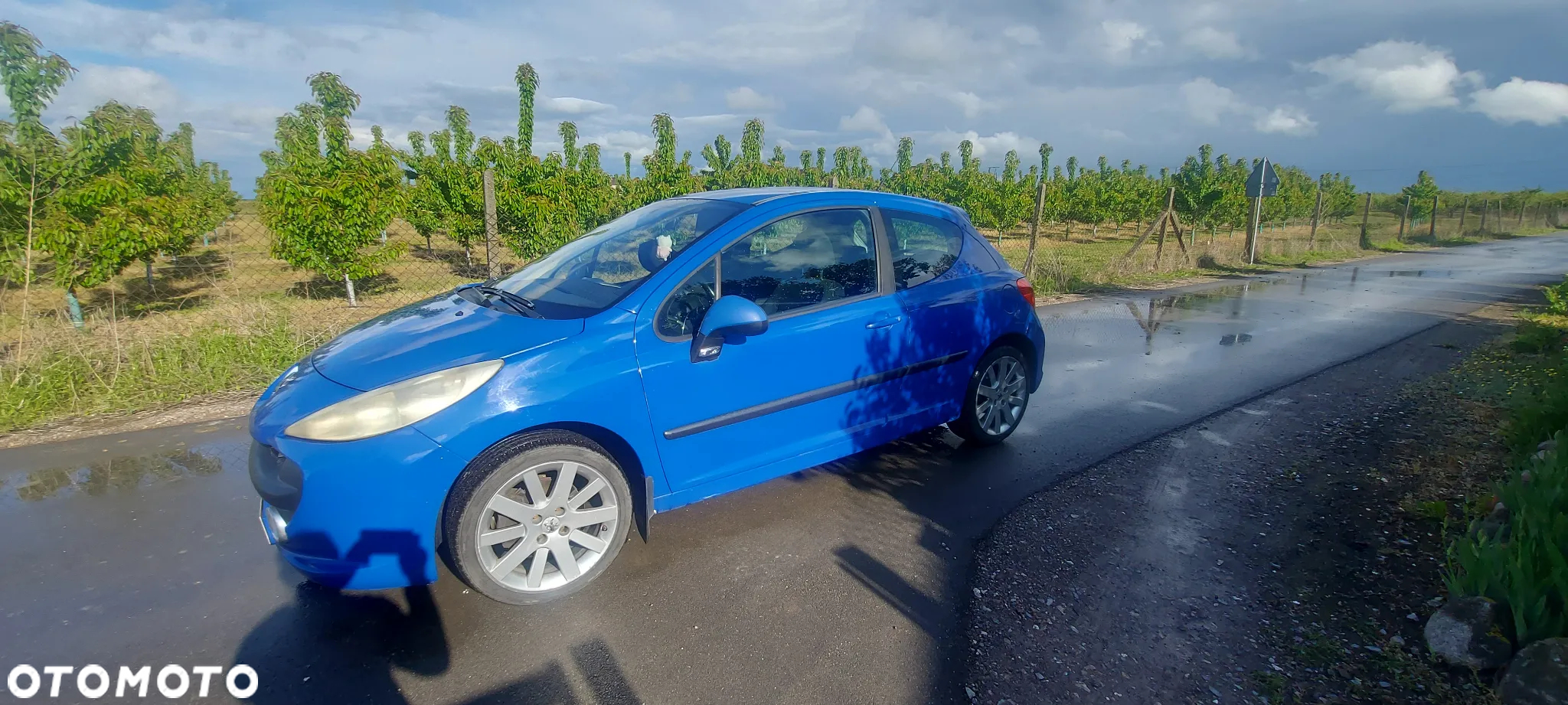 Peugeot 207 - 6