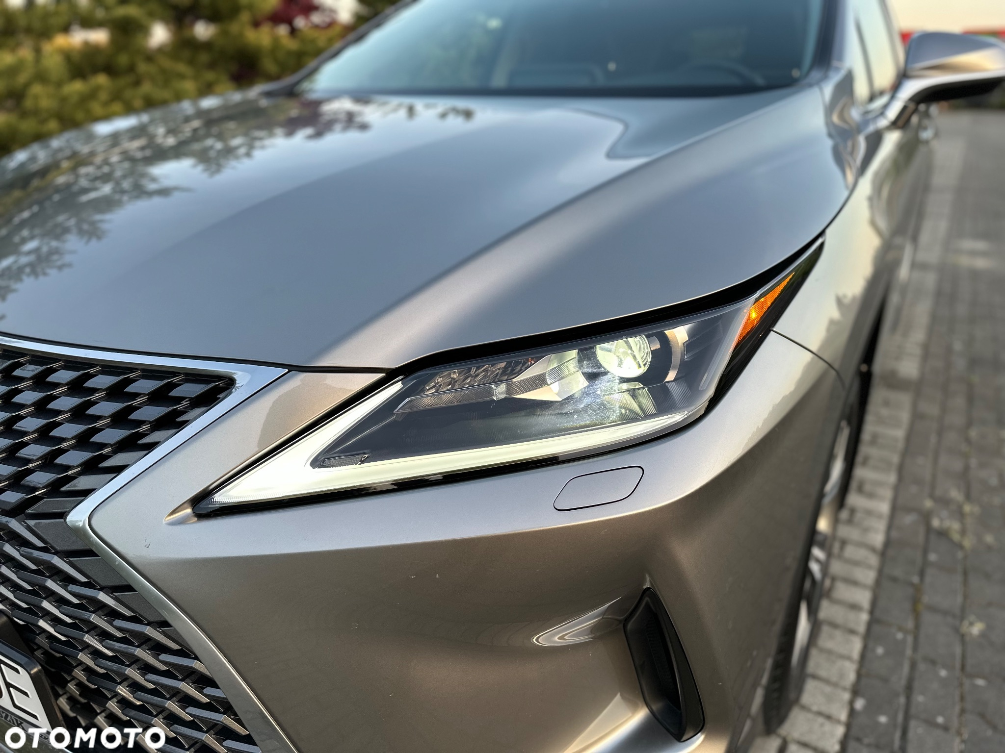 Lexus RX - 12