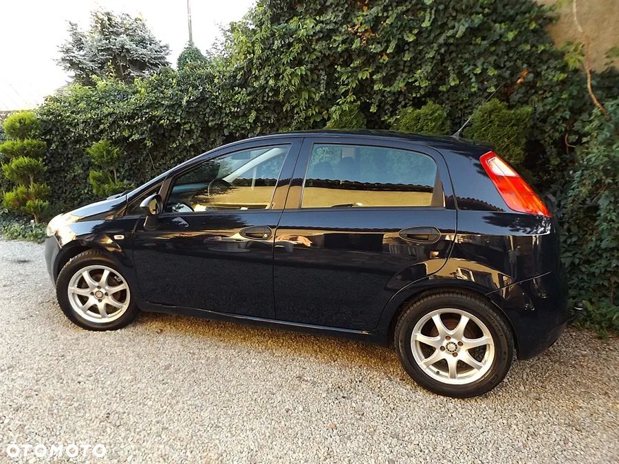 Fiat Punto - 13