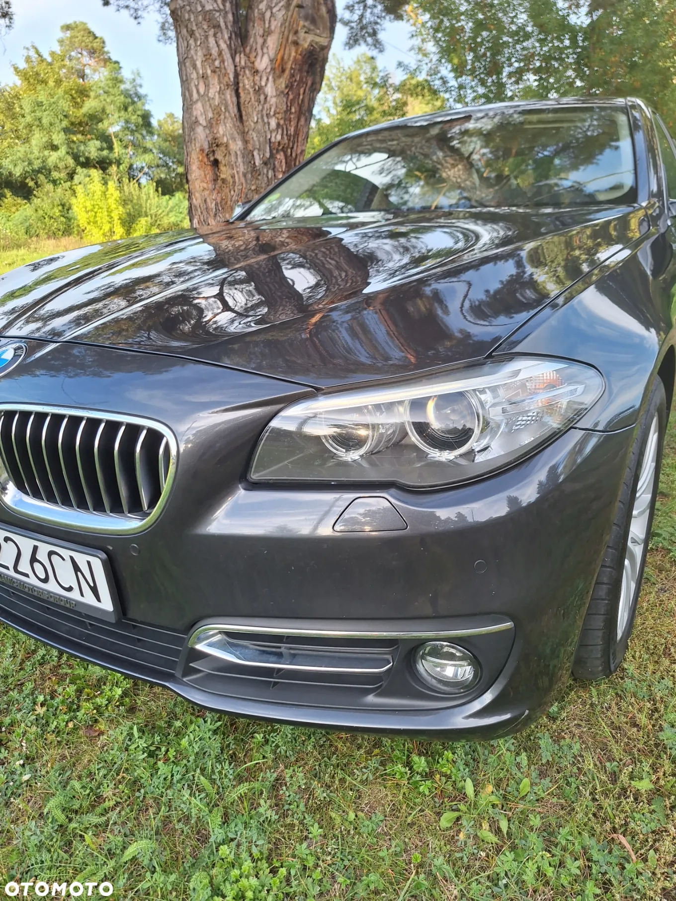 BMW Seria 5 520d xDrive Luxury Line - 21