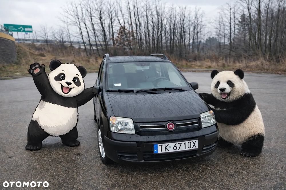 Fiat Panda 1.2 Dynamic - 22