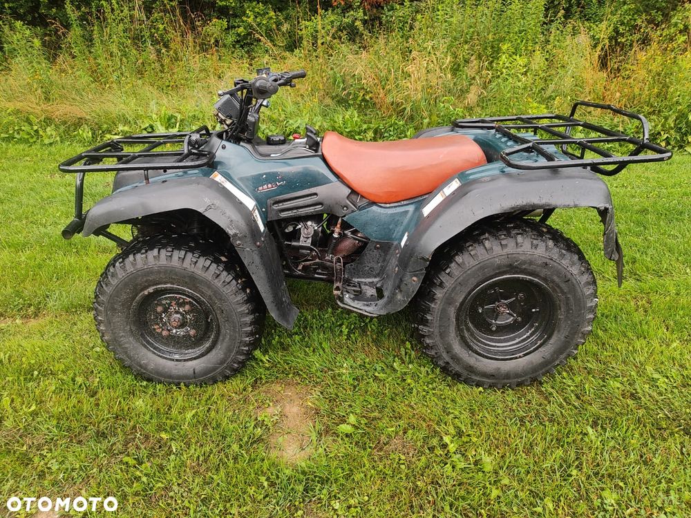 Suzuki Kingquad - 2