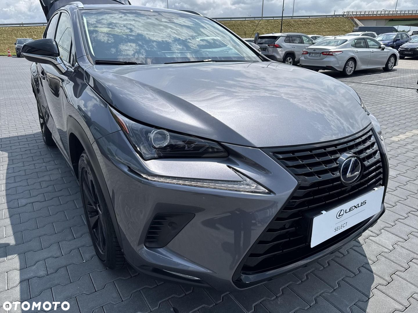 Lexus NX - 15
