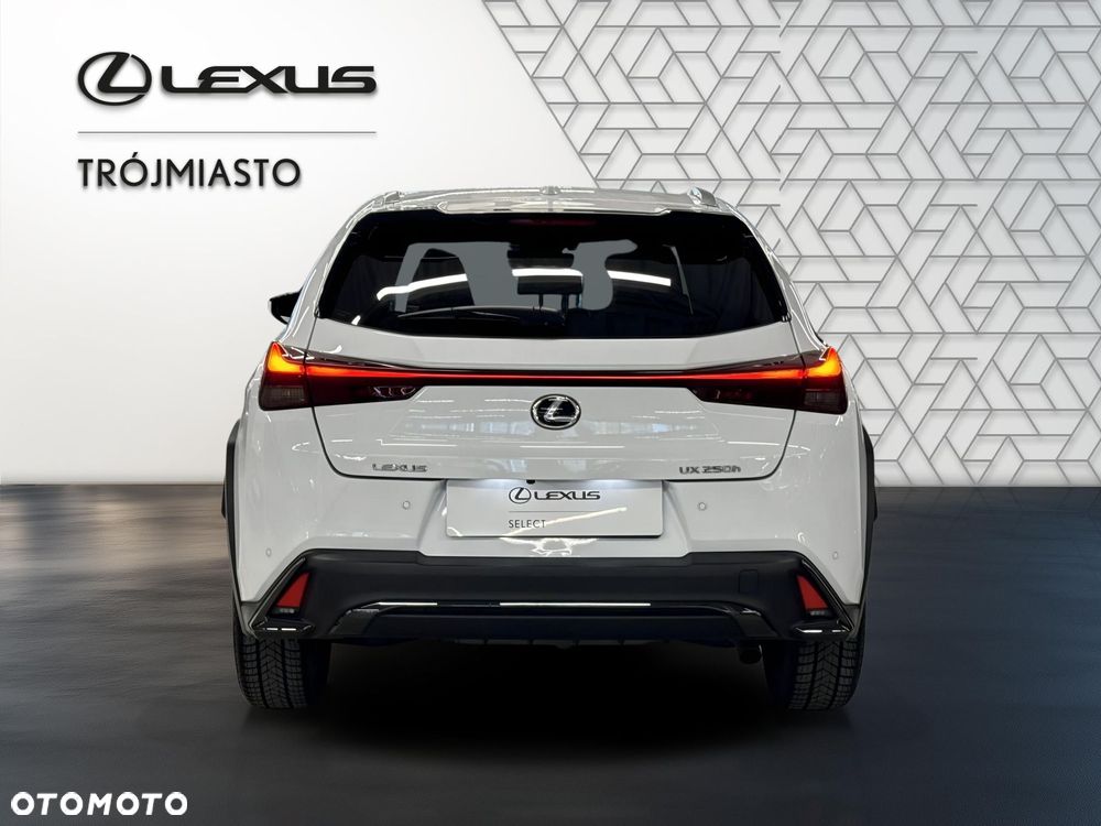 Lexus UX 250h GPF F Sport Design 2WD - 3