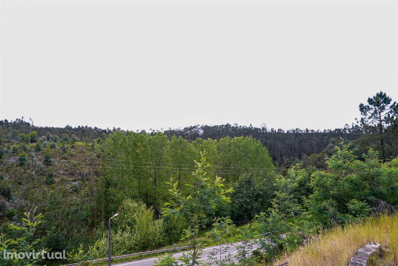 Terreno Urbano  Venda em Nogueira do Cravo e Pindelo,Oliveira de Azemé - Grande imagem: 3/14