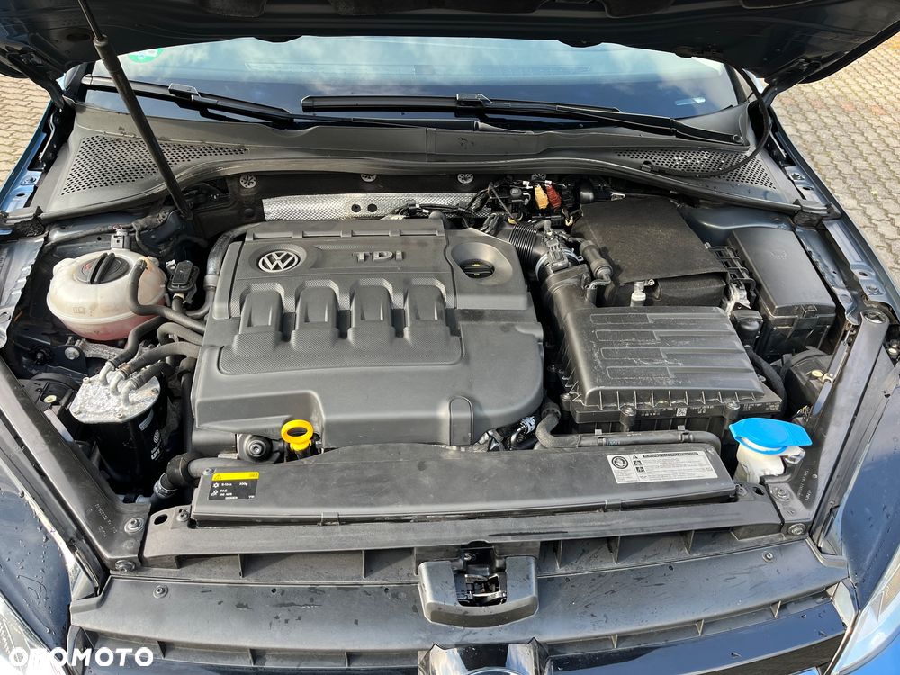 Volkswagen Golf VII 1.6 TDI BMT Highline - 7
