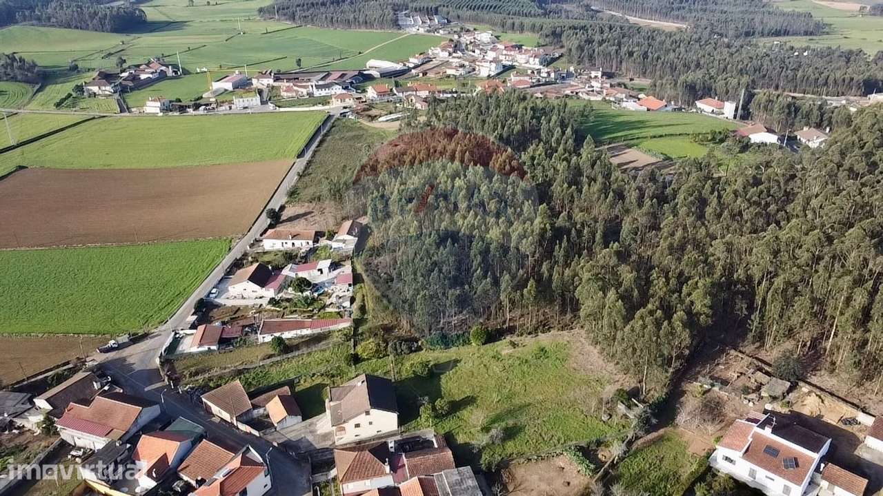 Terreno  para venda - Grande imagem: 4/9