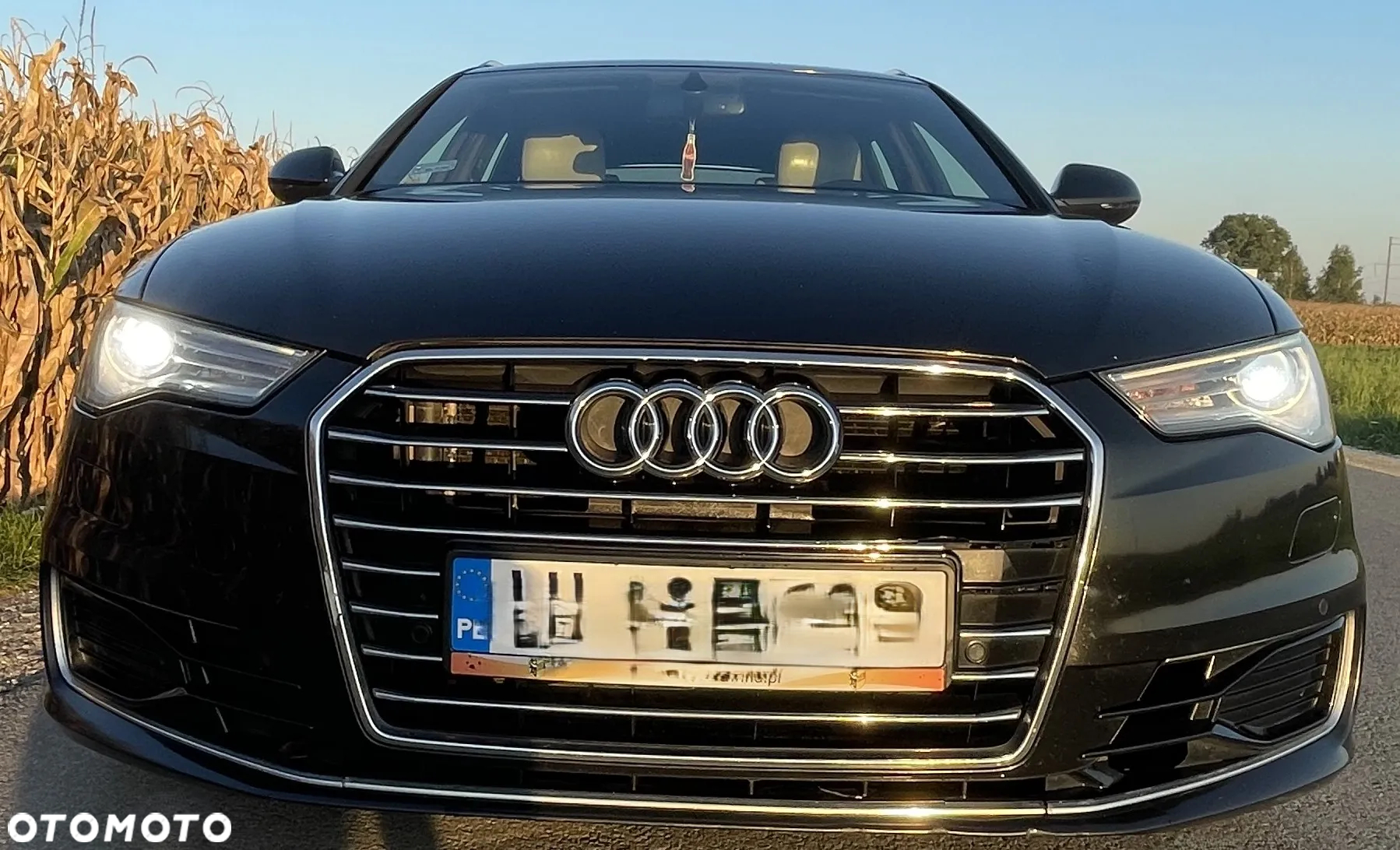 Audi A6 2.0 TDI ultra S tronic - 19