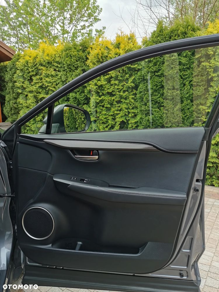 Lexus NX 300 AWD - 23
