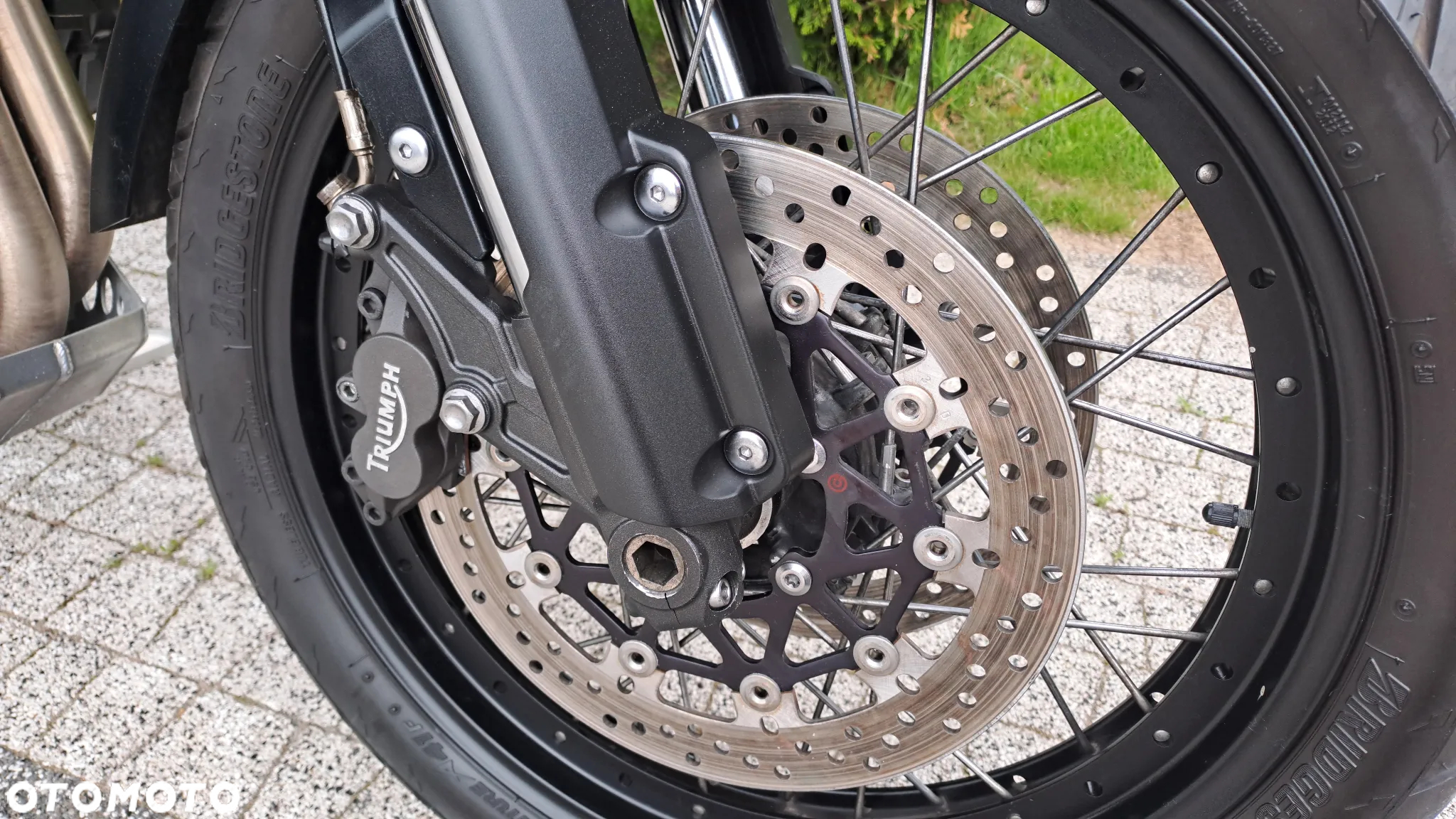 Triumph Tiger - 10