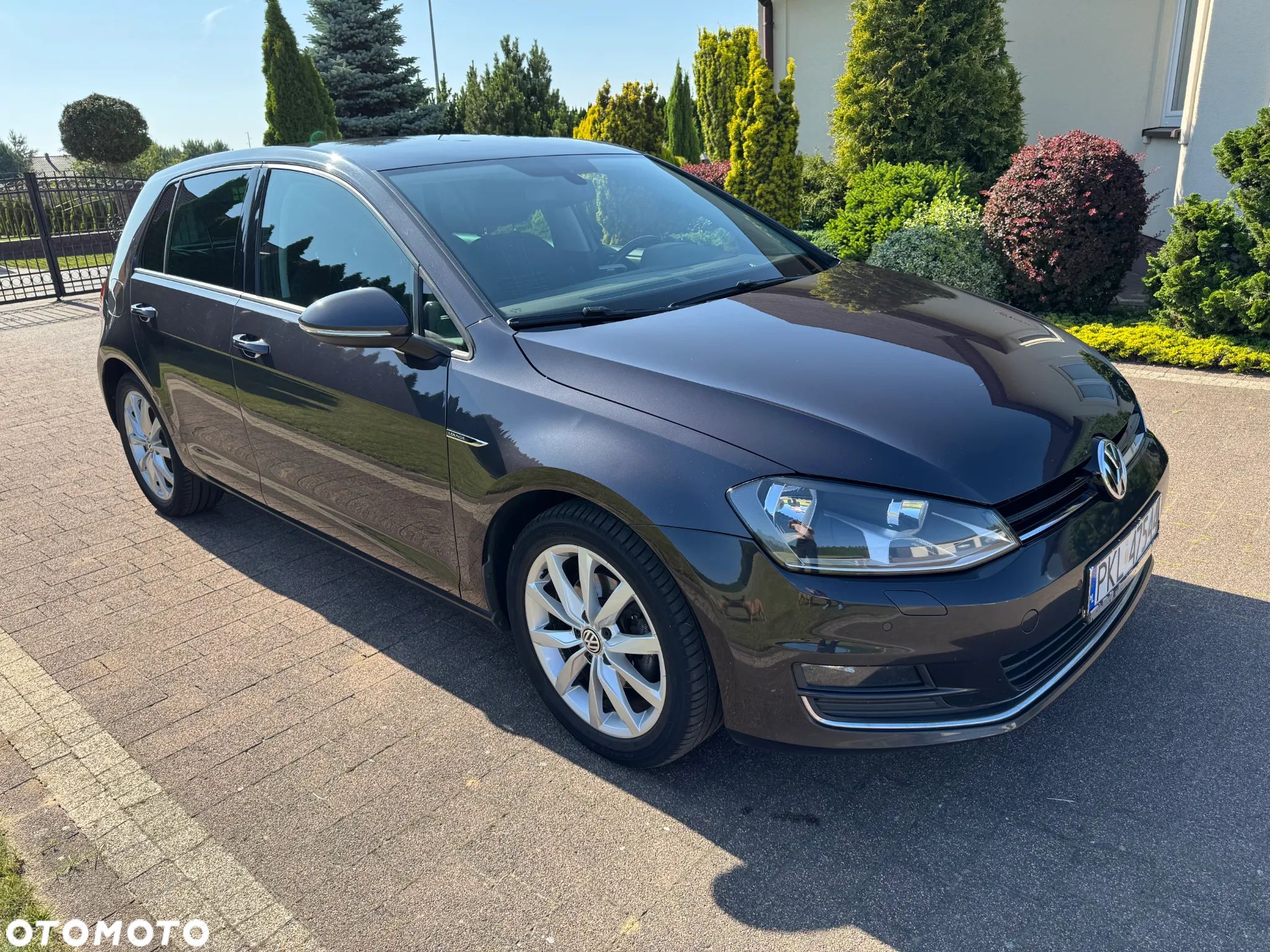 Volkswagen Golf - 1