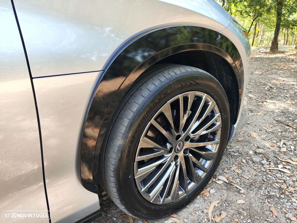 Lexus RZ 300e Luxury - 18
