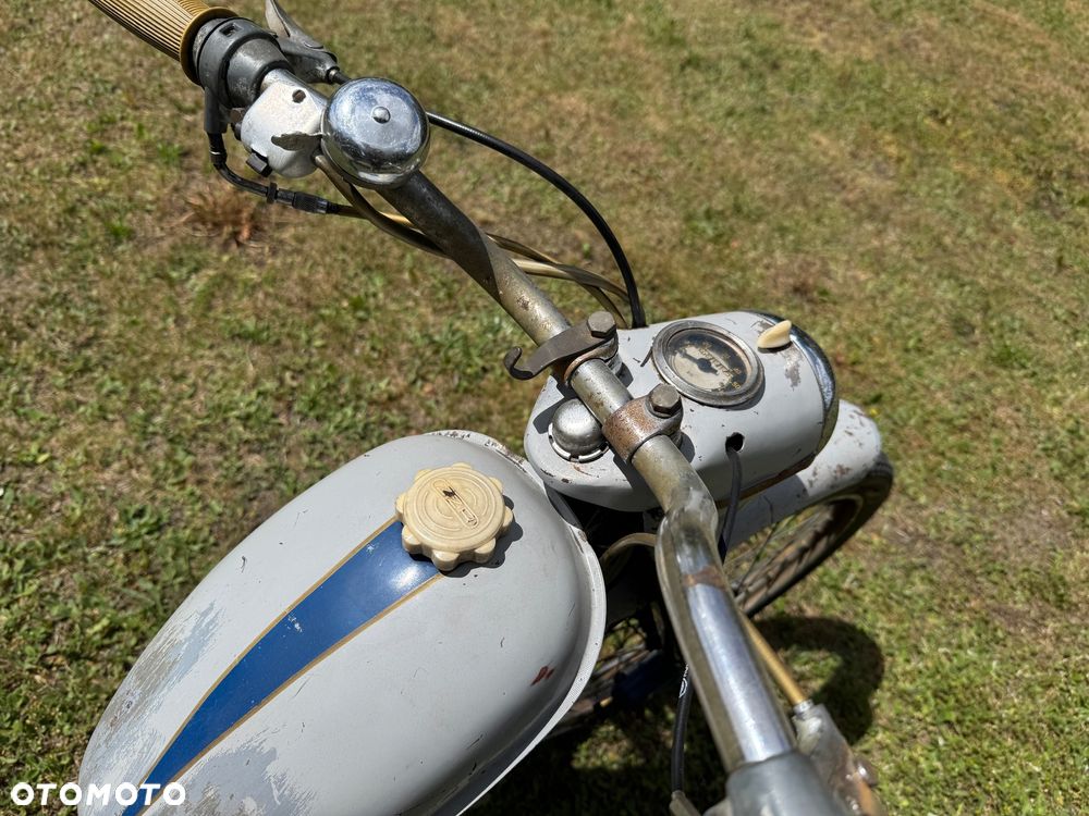 Komar Inny - 7