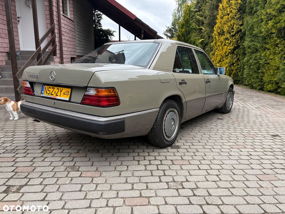 Mercedes-Benz W124 (1984-1993) - 4