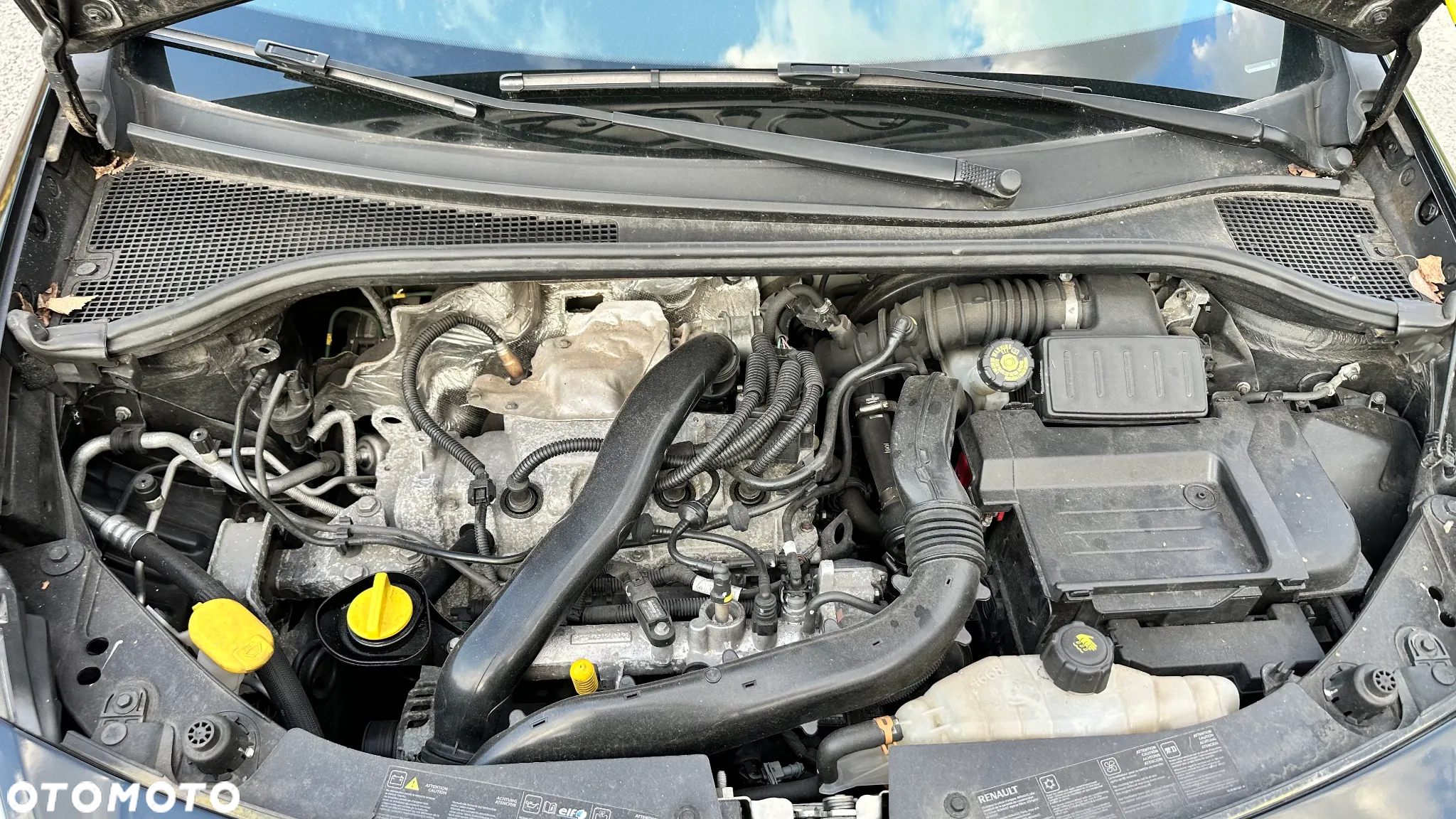 Renault Clio - 19