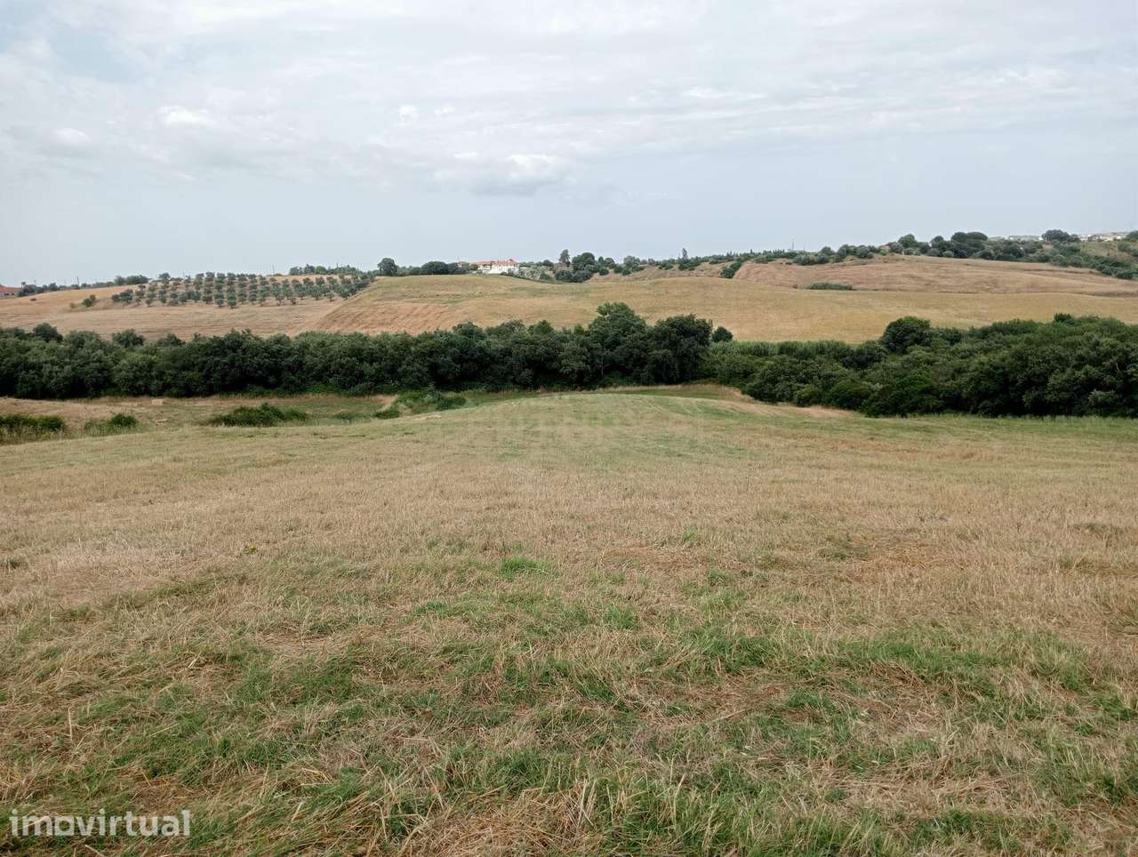 Moradia T2 em Casével, Santarém para restaurar com terreno de 16,720m2 - Grande imagem: 3/4