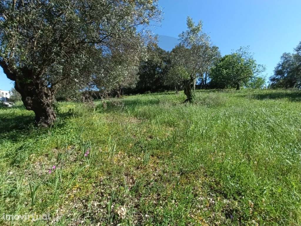 Terreno P/Construção - Grande imagem: 2/10