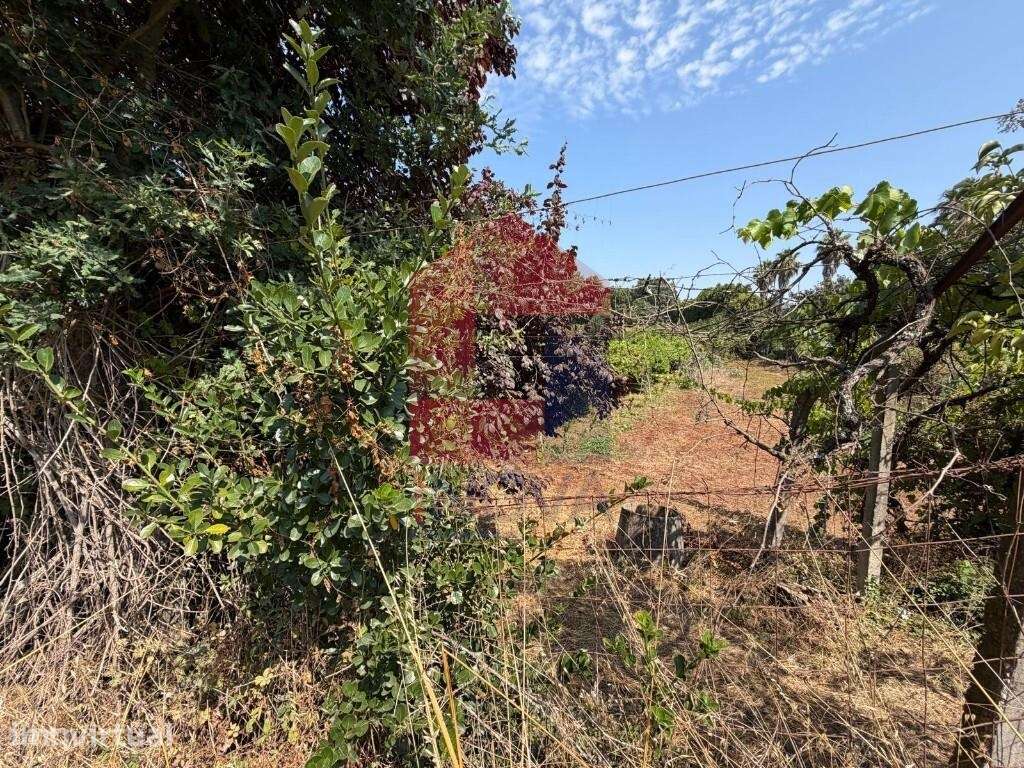 Terreno em zona de atividades económicas, Palmeira - Grande imagem: 5/14