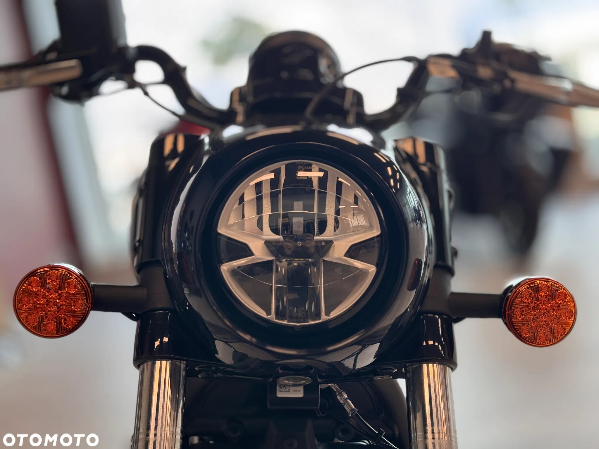 Indian Scout - 3