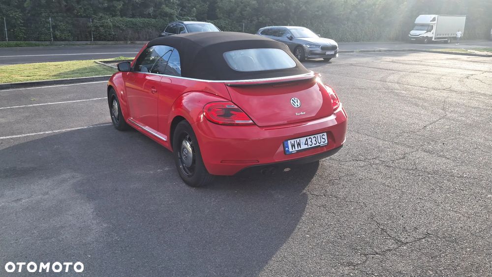 Volkswagen Beetle - 7