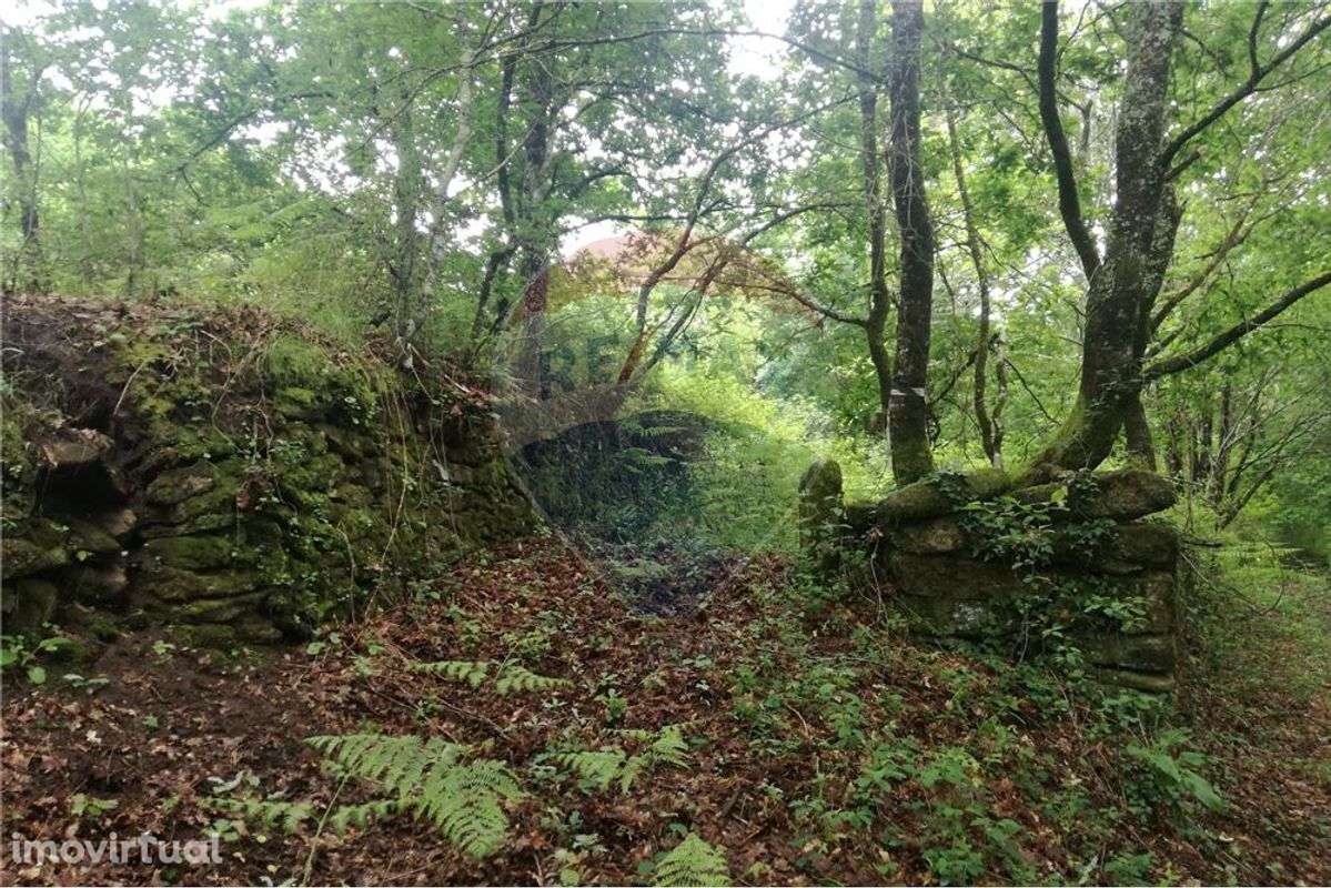 Terreno  para venda - Grande imagem: 2/44