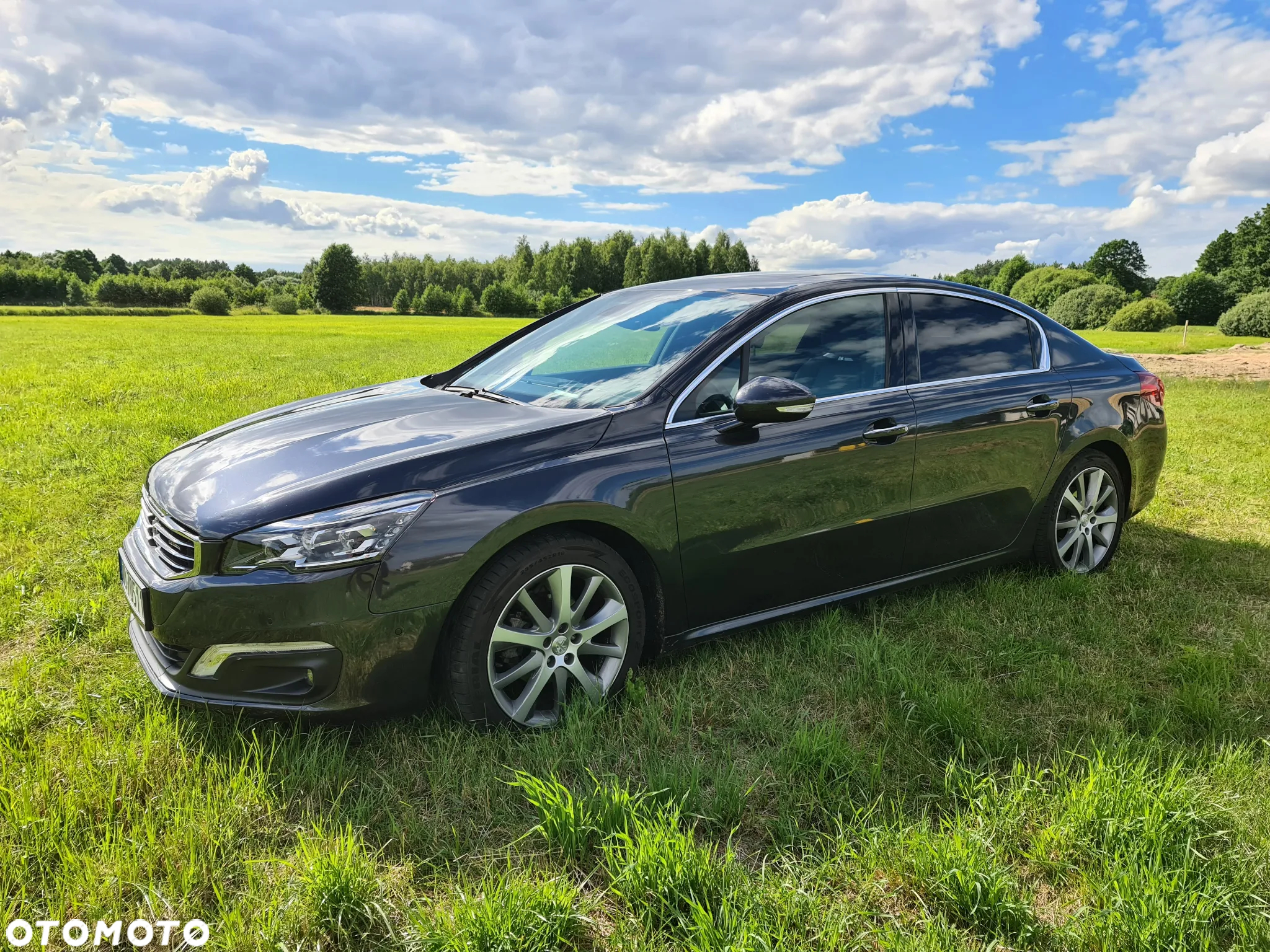 Peugeot 508 - 4