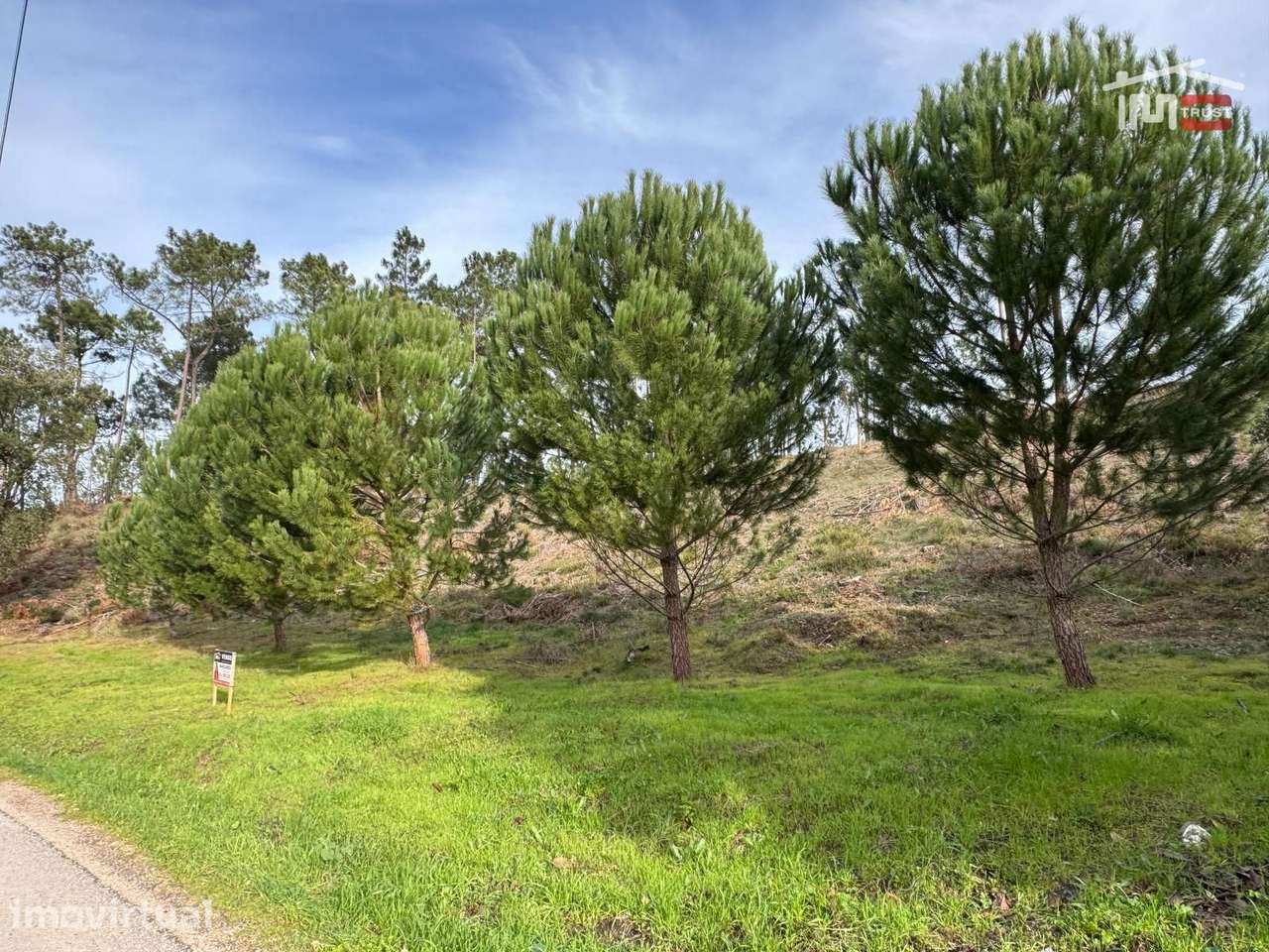 Terreno com pinhal com área 7.700 m2 com possível viabilidade de co... - Grande imagem: 3/29