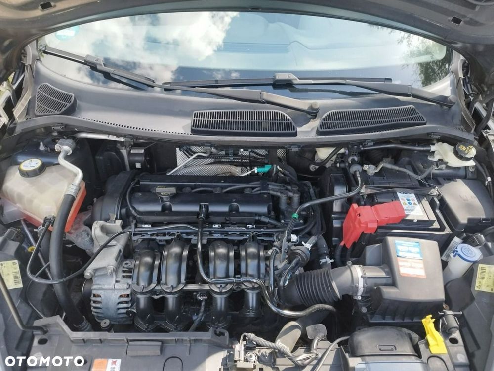 Ford Fiesta - 19