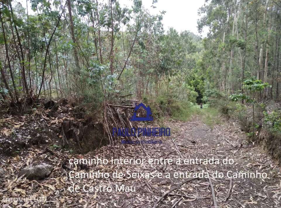 Terreno Baguim do Monte - Grande imagem: 2/12