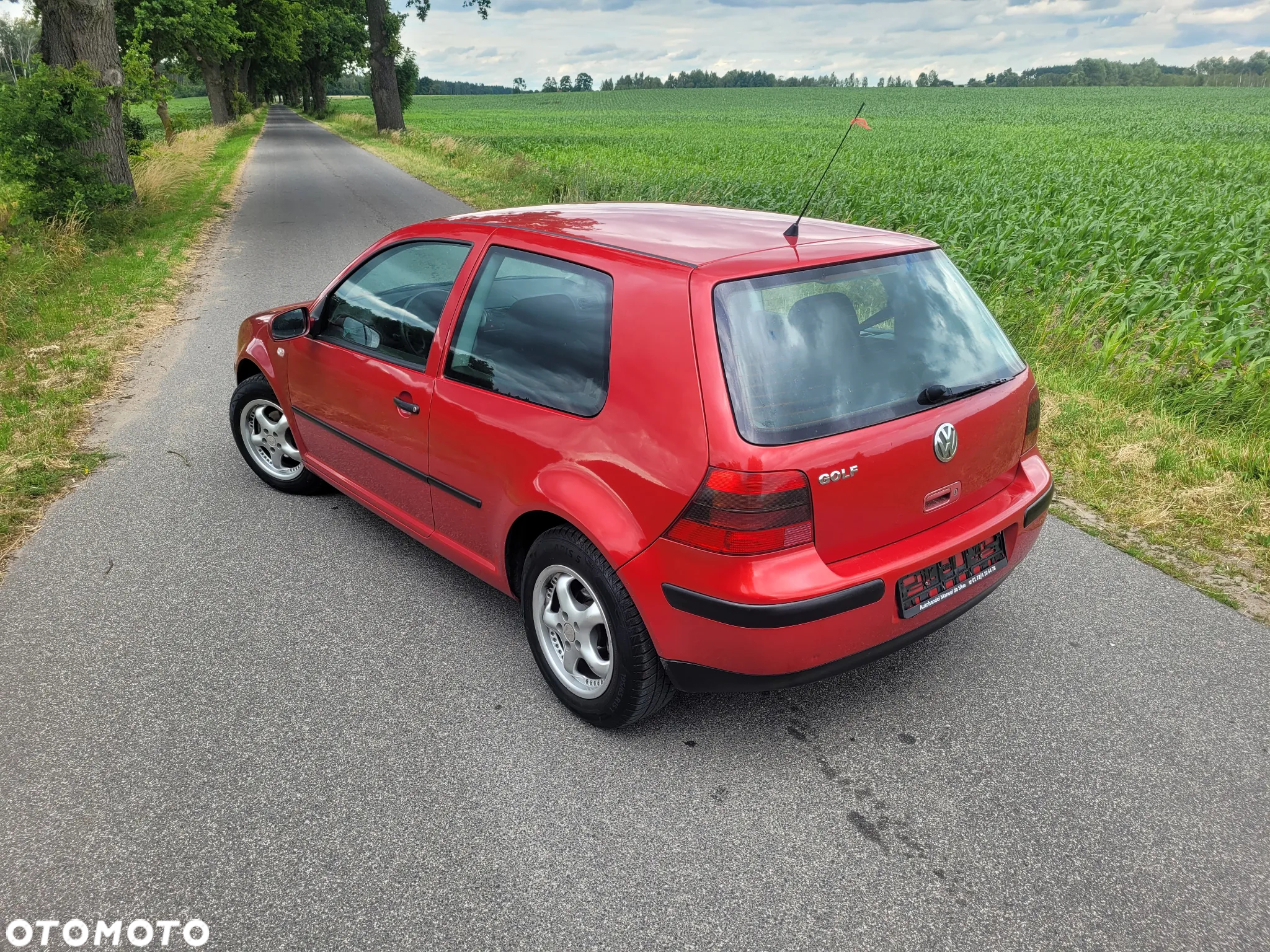 Volkswagen Golf IV 1.4 Trendline - 17