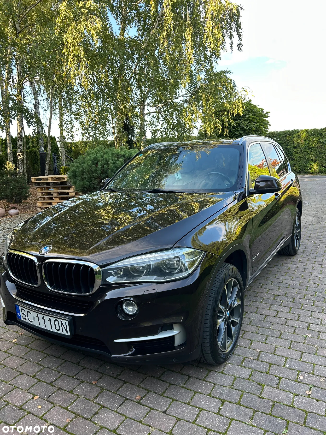BMW X5 xDrive30d - 3