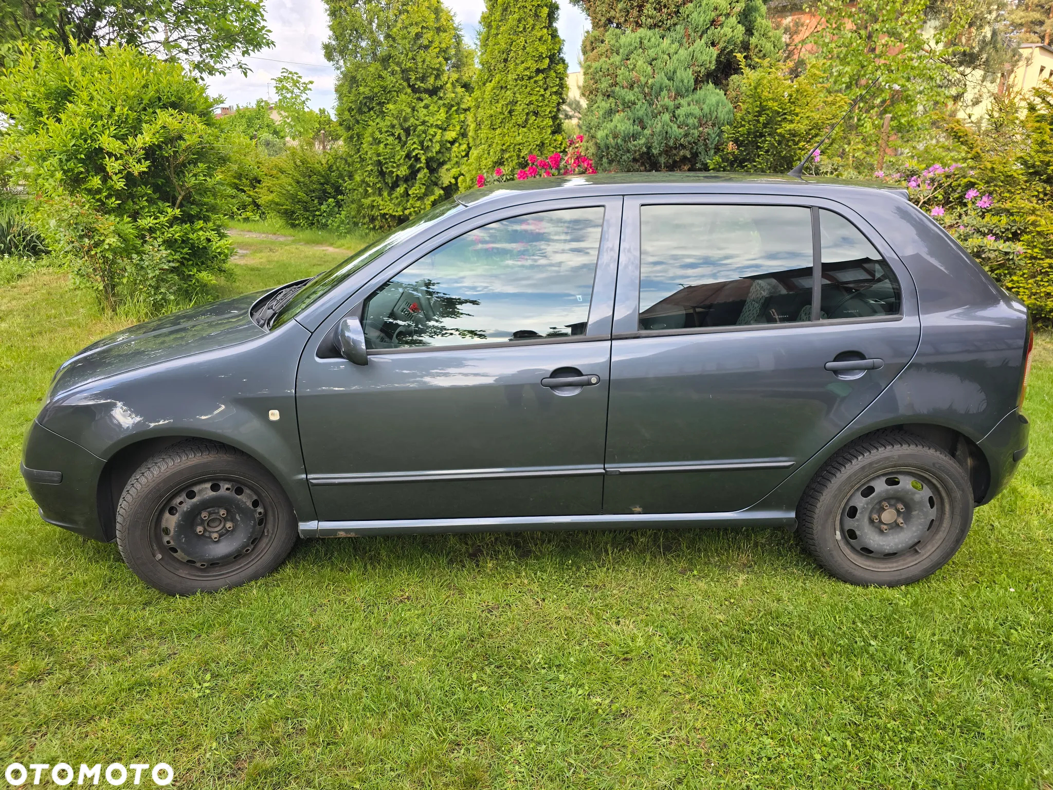 Skoda Fabia - 3
