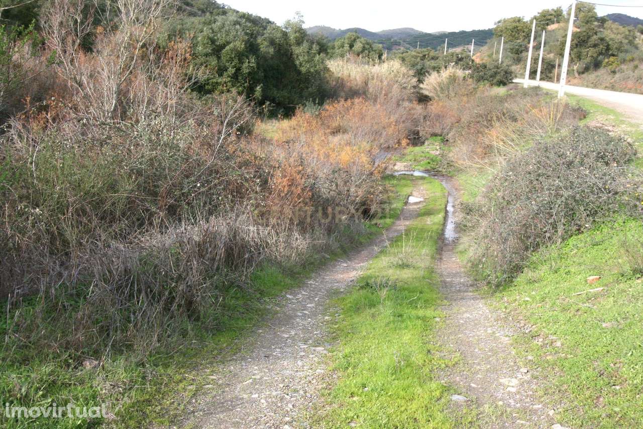 Amplo terreno rústico com sobreiros maduros em Vale Fontes de Baixo, S - Grande imagem: 2/14