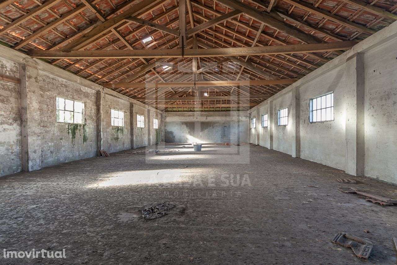 Armazém com 654 m2 em Rio Meão - Grande imagem: 3/15