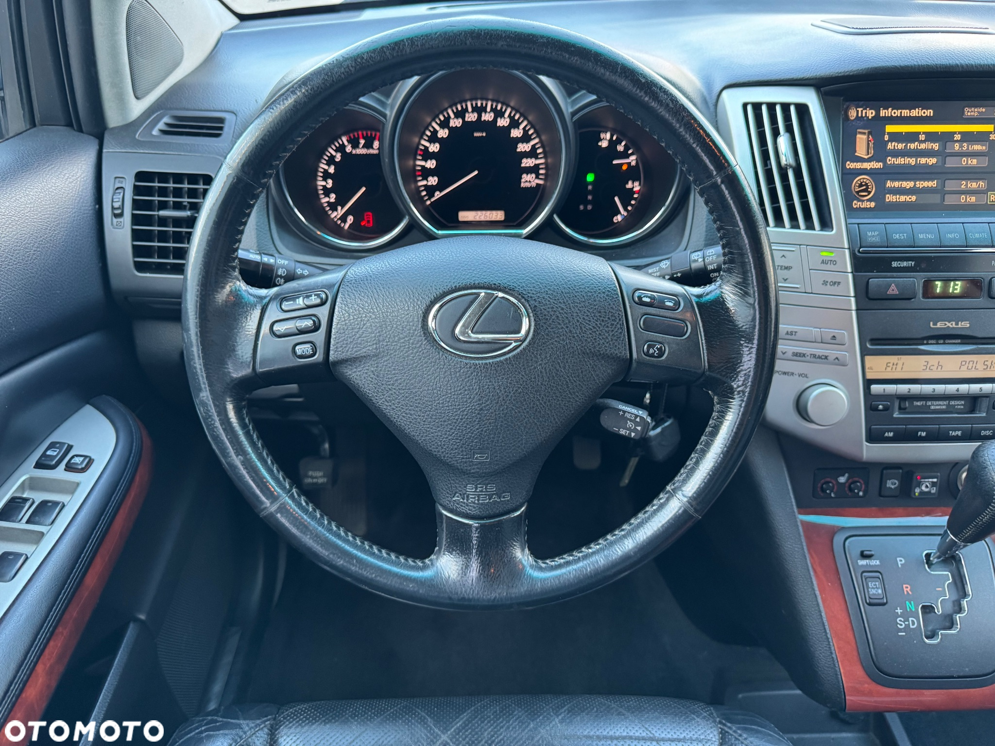 Lexus RX 300 Luxury - 19
